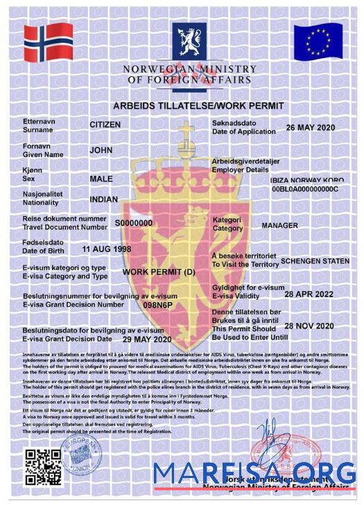 Downloadable Norway work permit, e visa example